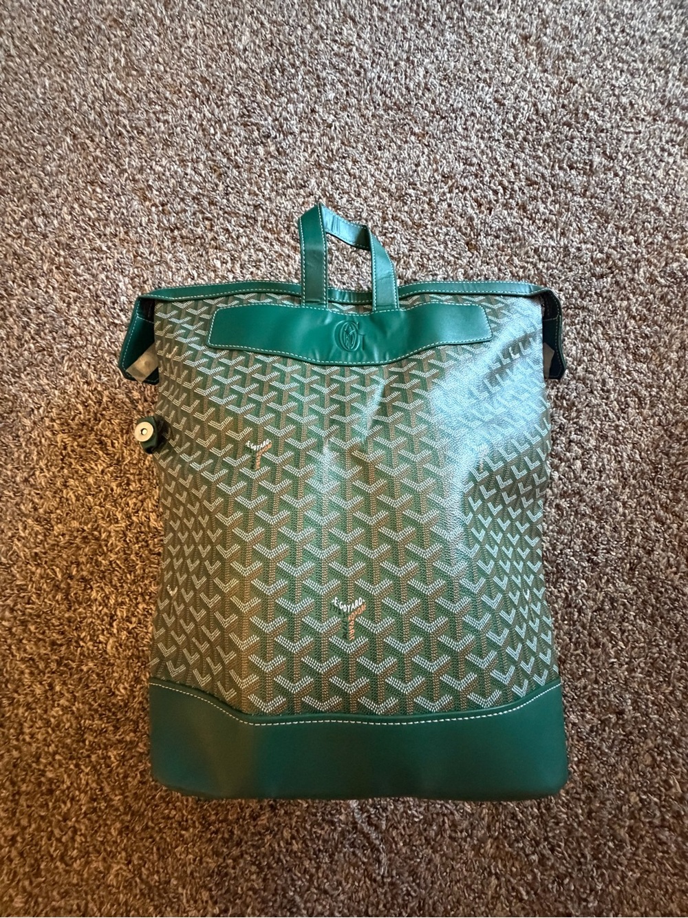 Goyard Green Patterned Backpack with Leather Trim